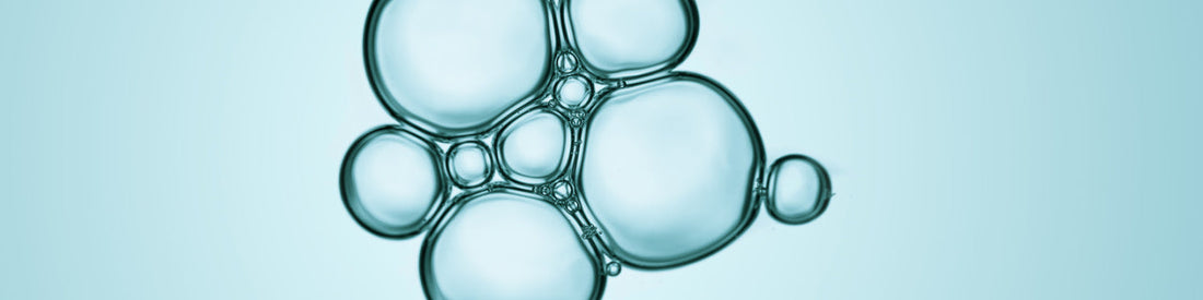 Best Skin Barrier Ingredients
