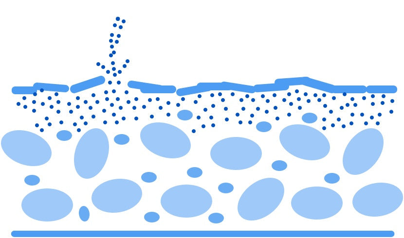 skin barrier illustration
